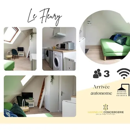 Le Fleury Calme Proche De Rouen * Deville-les-Rouen